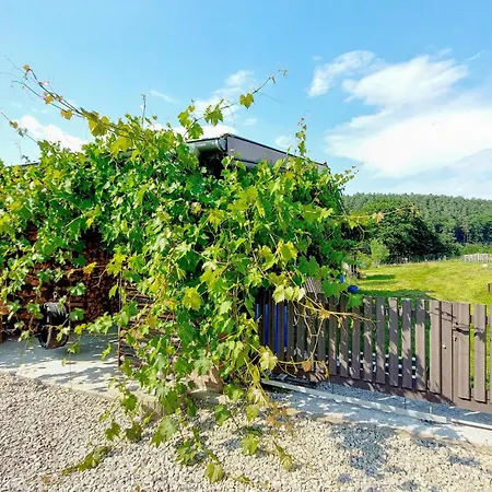 3 Bedroom In * Reipertswiller